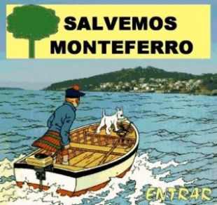 Entrada á web de Salvemos Monteferro