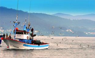 Barco galego
