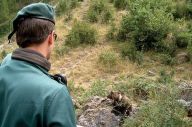 O Seprona enc&aacute;rgase da investigaci&oacute;n
