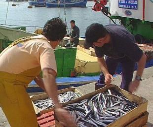Descarga de peixe