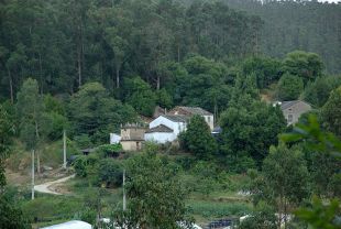 A Parroquia de Viloalle, onde está A Fervenza, arrodeada de eucaliptos / Flickr: mondonedolugo