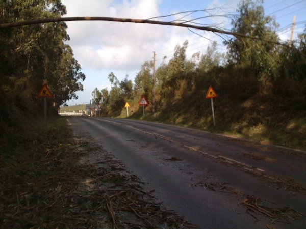 Na estrada que leva á parroquia de Covas tamén se notou a forza do vento